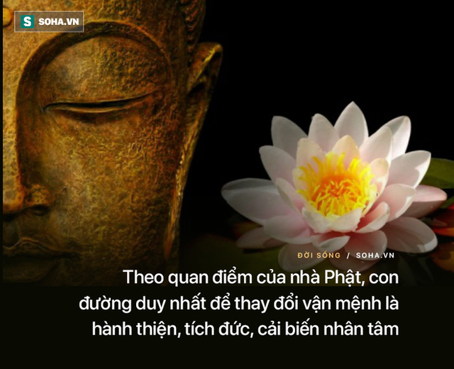 Không tin tưởng vào việc hành thiện tích đức, không làm việc thiện Không tin tưởng vào việc hành thiện tích đức, không làm việc thiện