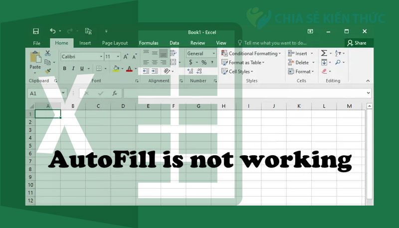 Hướng dẫn khắc phục lỗi Autofill không hoạt động trong Excel