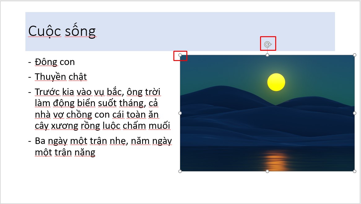 Hướng dẫn sử dụng PowerPoint từ A - Z: Chỉnh ảnh sau khi chèn