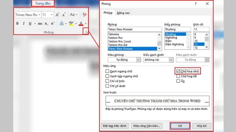 Cách chuyển đổi định dạng thành Chữ hoa Nhỏ