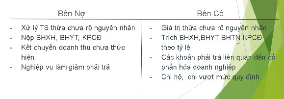 Tài khoản 338: Phải trả, phải nộp khác