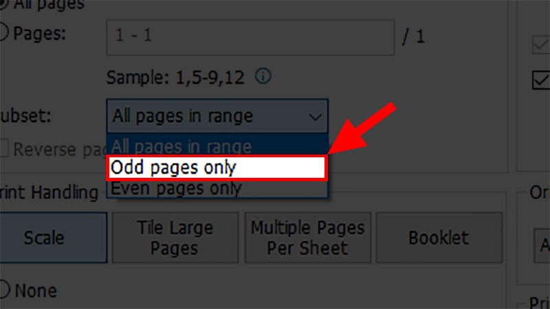 Cách in trang lẻ trong PDF - Bước 2