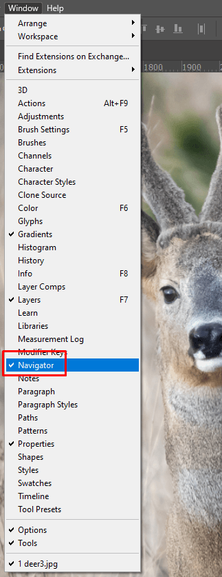 Mở bảng Navigator trong Photoshop - Bước 2