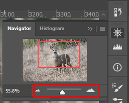 Mở bảng Navigator trong Photoshop - Bước 3