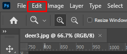 Cách kích hoạt Công cụ Zoom Tool - Bước 1