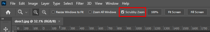 Cách kích hoạt Công cụ Zoom Tool - Bước 3.1