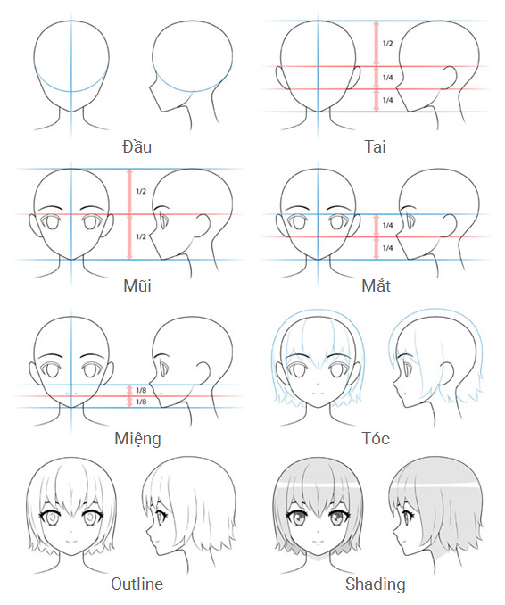 Các bước vẽ đầu và khuôn mặt nhân vật nữ anime
