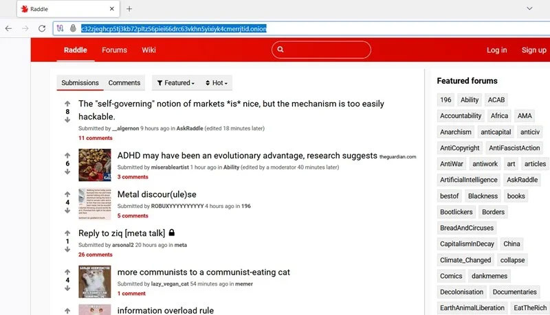 Raddle, một trang web dựa trên Onion tương tự như Reddit.