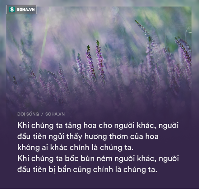 14 câu nói vận vào ai cũng có lúc đúng: Đọc và ngẫm, bạn sẽ được nhiều hơn mất! 14 câu nói vận vào ai cũng có lúc đúng: Đọc và ngẫm, bạn sẽ được nhiều hơn mất!