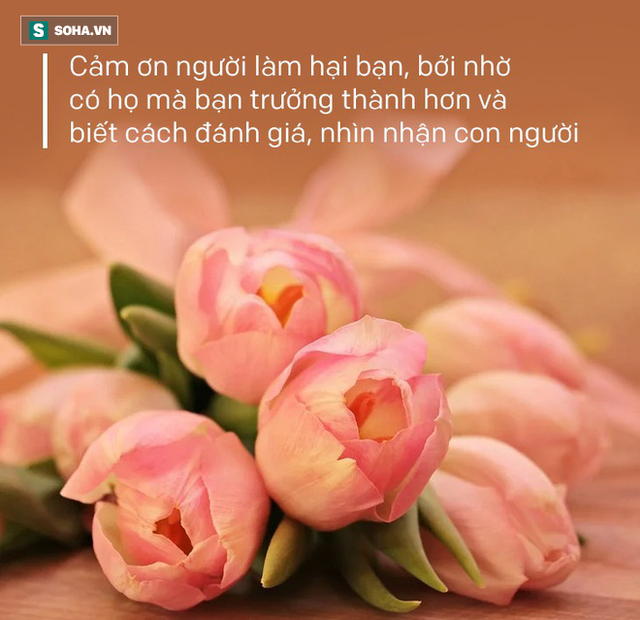 14 câu nói vận vào ai cũng có lúc đúng: Đọc và ngẫm, bạn sẽ được nhiều hơn mất! 14 câu nói vận vào ai cũng có lúc đúng: Đọc và ngẫm, bạn sẽ được nhiều hơn mất!