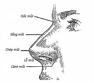 Đặc điểm nhân tướng của những người chỉ có thể giàu có, vinh hiển sau tuổi 40 - Ảnh 3. Đặc điểm nhân tướng của những người chỉ có thể giàu có, vinh hiển sau tuổi 40 - Ảnh 3.