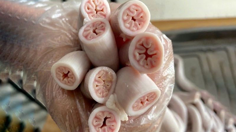 Thí nghiệm biến lòng non thành lòng se điếu chỉ bằng loại nước quen thuộc