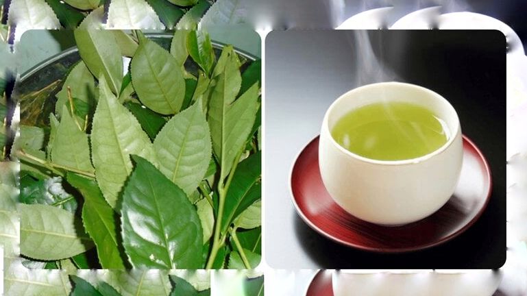 Điều gì sẽ xảy ra nếu bạn thường xuyên uống nước trà xanh vào buổi sáng?